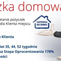 Bocian pożyczki kto jest właścicielem? Poznaj tajemnice zarządzania
