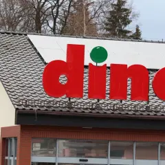Ile zarabia pracownik dino? Sprawdź pensje i warunki zatrudnienia