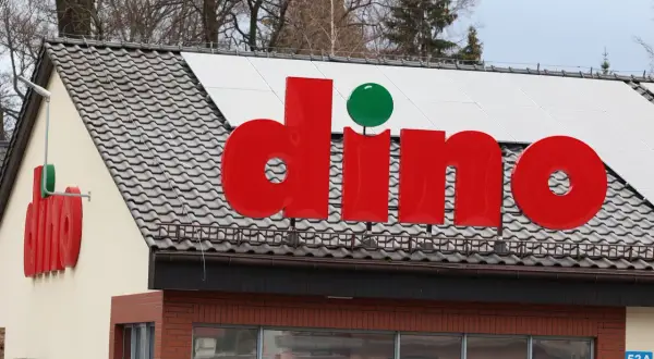Ile zarabia pracownik dino? Sprawdź pensje i warunki zatrudnienia
