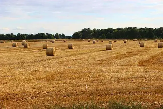 Zdjęcie Czy warto inwestować w ziemię? Odkryj potencjalne zyski i ryzyka
