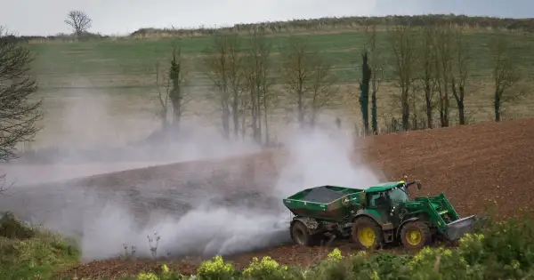 Jakie wapno na dofinansowanie? Sprawdź, co możesz kupić i uzyskać wsparcie